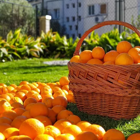 Appartement Ambience Dubrovnik