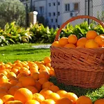 Daire Ambience Dubrovnik