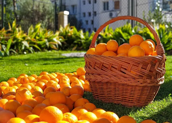 Apartamento Ambience Dubrovnik